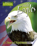 Bald_eagles___a_chemical_nightmare