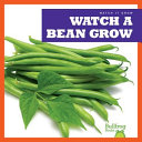 Watch_a_bean_grow
