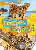 Cheetah_or_leopard_