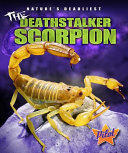 The_deathstalker_scorpion