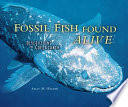 Fossil_fish_found_alive__discovering_the_coelacanth
