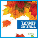 Leaves_in_fall