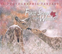 First_snow_in_the_woods