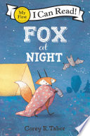 Fox_at_night