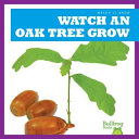 Watch_an_oak_tree_grow