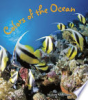 Colors_of_the_ocean