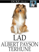 Lad_-_A_Dog